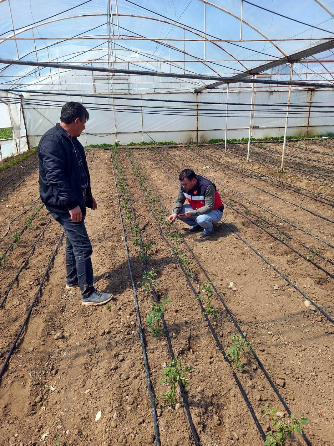 Tarımda tarihin en büyük felaketi yaşanıyor! Meyve, sebze fiyatlarında rekor artış yaşanacak 13